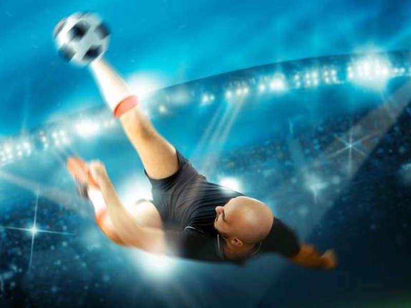星空体育app概况